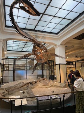 国立科学博物館に投稿された画像（2023/8/14）