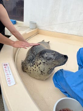 越前松島水族館に投稿された画像（2023/8/14）