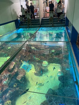 越前松島水族館に投稿された画像（2023/8/14）