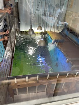 越前松島水族館に投稿された画像（2023/8/14）