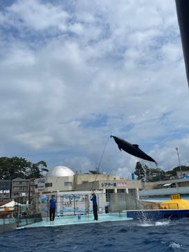 越前松島水族館に投稿された画像（2023/8/14）