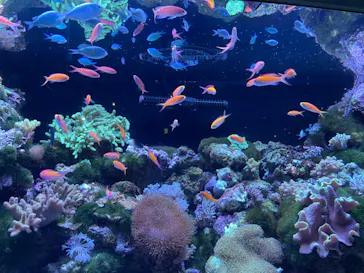 マクセル アクアパーク品川に投稿された画像（2023/8/14）