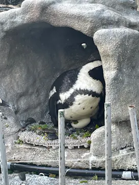 サンシャイン水族館に投稿された画像（2023/8/14）