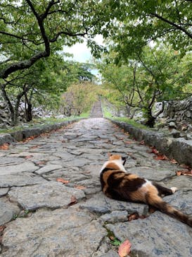 今帰仁城跡に投稿された画像（2023/8/14）