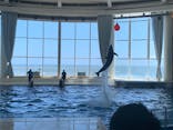 アクアワールド茨城県大洗水族館に投稿された画像（2023/8/14）