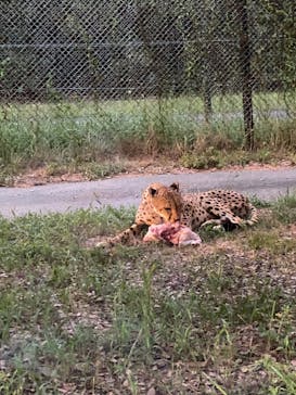 姫路セントラルパークに投稿された画像（2023/8/14）