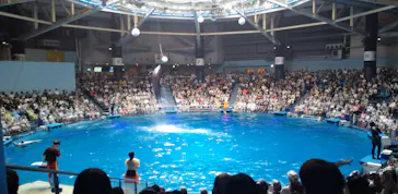 マクセル アクアパーク品川に投稿された画像（2023/8/14）