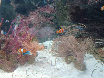 マクセル アクアパーク品川に投稿された画像（2023/8/14）