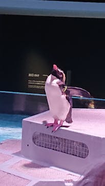 AOAO SAPPOROに投稿された画像（2023/8/14）