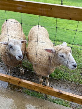那須どうぶつ王国に投稿された画像（2023/8/14）