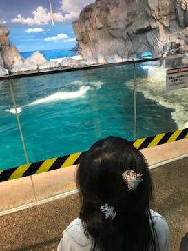 名古屋港水族館に投稿された画像（2023/8/14）