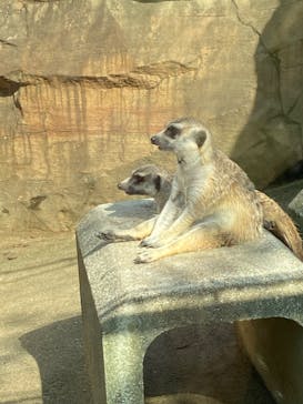 よこはま動物園ズーラシアに投稿された画像（2023/8/14）