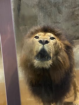 よこはま動物園ズーラシアに投稿された画像（2023/8/14）