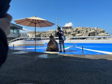 大分マリーンパレス水族館 「うみたまご」に投稿された画像（2023/8/14）