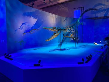 DinoScience 恐竜科学博 2023@TOKYO MIDTOWNに投稿された画像（2023/8/14）