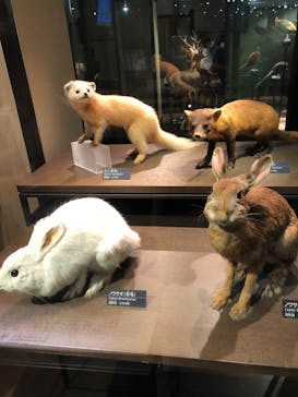 国立科学博物館に投稿された画像（2023/8/14）