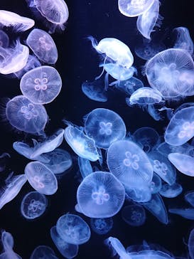 AOAO SAPPOROに投稿された画像（2023/8/14）