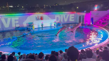 仙台うみの杜水族館に投稿された画像（2023/8/14）