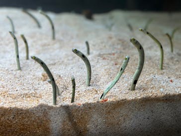 AOAO SAPPOROに投稿された画像（2023/8/14）