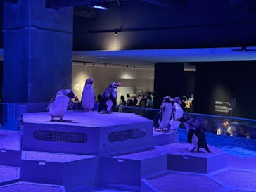 AOAO SAPPOROに投稿された画像（2023/8/14）