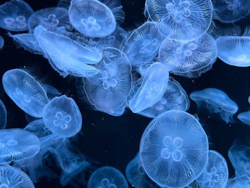 AOAO SAPPOROに投稿された画像（2023/8/14）