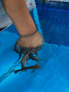 越前松島水族館に投稿された画像（2023/8/14）