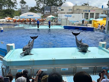 越前松島水族館に投稿された画像（2023/8/14）