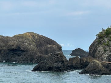 越前松島水族館に投稿された画像（2023/8/14）