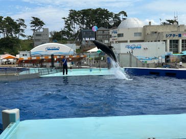 越前松島水族館に投稿された画像（2023/8/14）