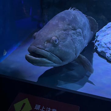 名古屋港水族館に投稿された画像（2023/8/14）