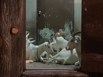 日立市かみね動物園に投稿された画像（2023/8/14）