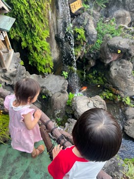 浅草花やしきに投稿された画像（2023/8/14）