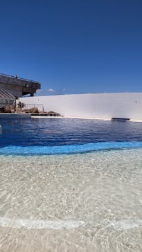 大分マリーンパレス水族館 「うみたまご」に投稿された画像（2023/8/14）