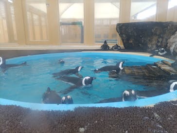 名古屋港水族館に投稿された画像（2023/8/14）