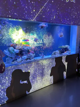 マクセル アクアパーク品川に投稿された画像（2023/8/14）