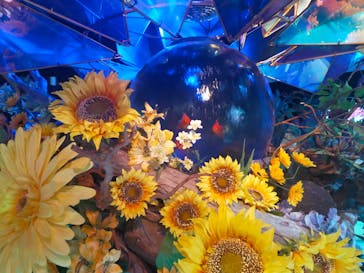 NARA KINGYO MUSEUMに投稿された画像（2023/8/14）