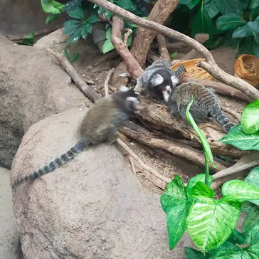 神戸どうぶつ王国に投稿された画像（2023/8/14）