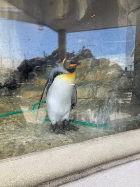 仙台うみの杜水族館に投稿された画像（2023/8/14）