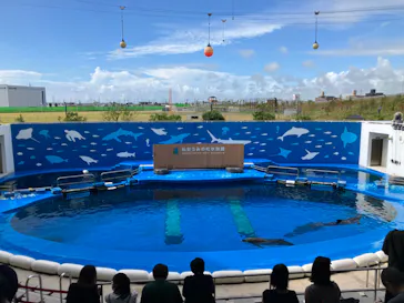 仙台うみの杜水族館に投稿された画像（2023/8/14）