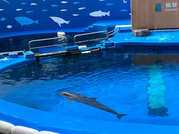 仙台うみの杜水族館に投稿された画像（2023/8/14）