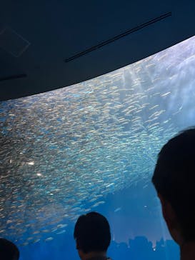 名古屋港水族館に投稿された画像（2023/8/14）