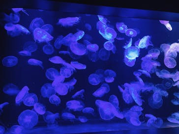 AOAO SAPPOROに投稿された画像（2023/8/14）