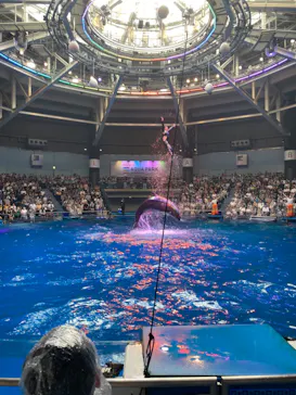 マクセル アクアパーク品川に投稿された画像（2023/8/14）