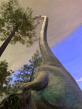 福井県立恐竜博物館に投稿された画像（2023/8/14）