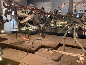 福井県立恐竜博物館に投稿された画像（2023/8/14）