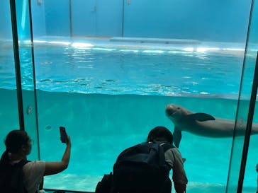 マリンワールド海の中道に投稿された画像（2023/8/14）