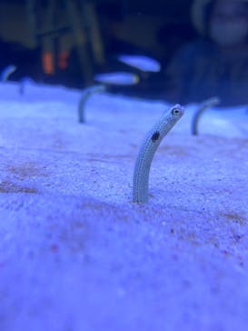 マリンワールド海の中道に投稿された画像（2023/8/14）