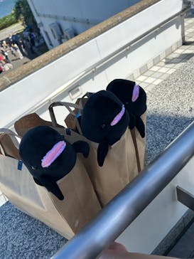 マリンワールド海の中道に投稿された画像（2023/8/14）