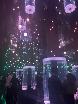 マクセル アクアパーク品川に投稿された画像（2023/8/14）