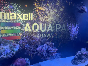 マクセル アクアパーク品川に投稿された画像（2023/8/14）